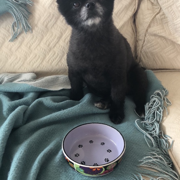 Kate Ward Thacker for Rosenthal - Picture 2 of 11